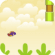 Birdy Bird Floppy