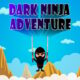 Dark Ninja Adventure